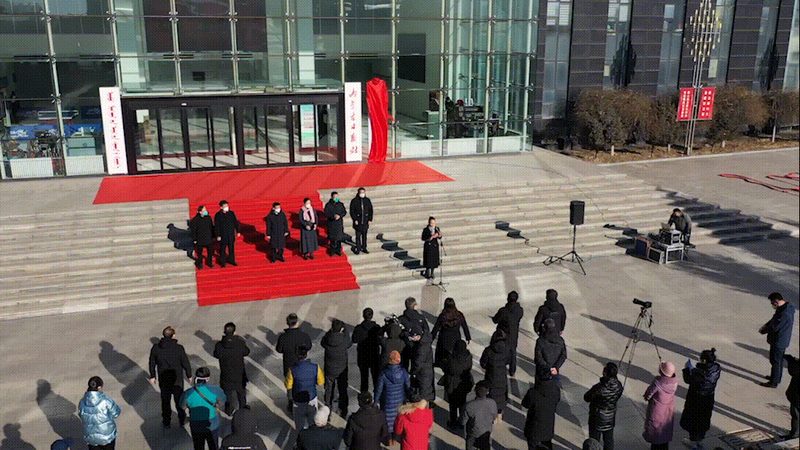 品牌设计公司案例解析：优缺点全解析