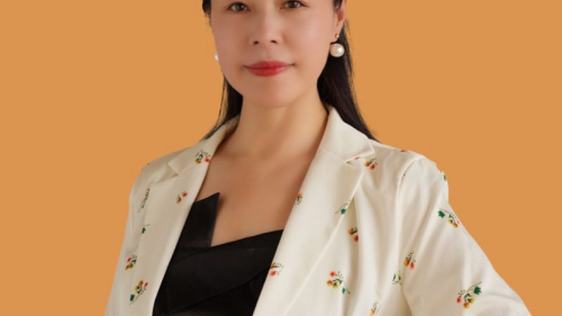行业现状：需求增长，专业服务备受关注