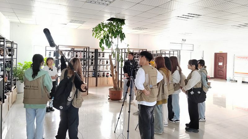 mg动画微课制作：揭秘报价背后的秘密